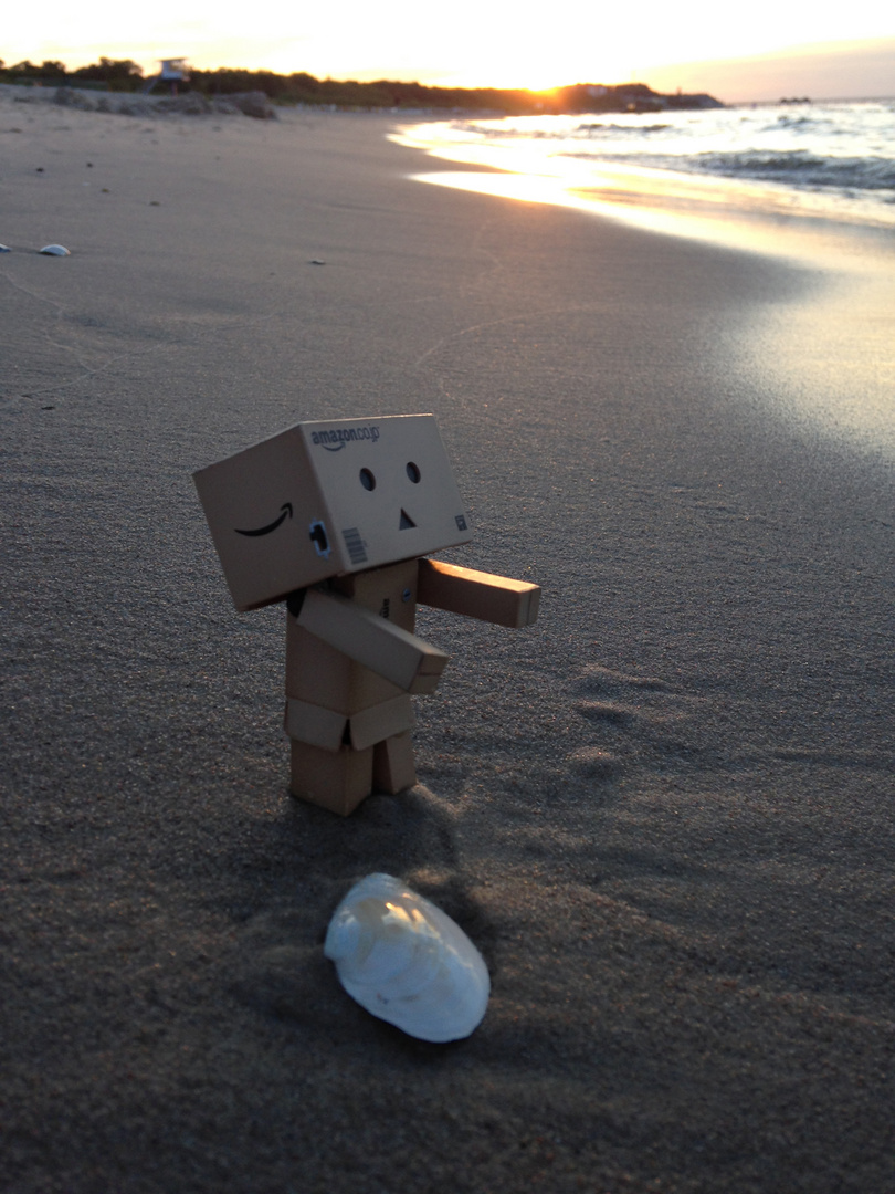 Danbo hat Sehnsucht nach dem Meer