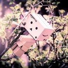 Danbo - Hoch hinaus