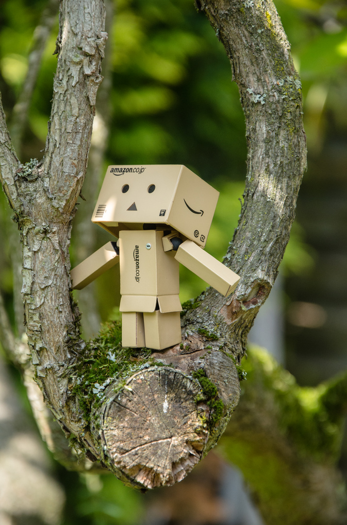 Danbo hoch hinaus