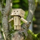 Danbo hoch hinaus