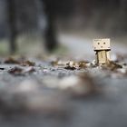 Danbo im Herbst