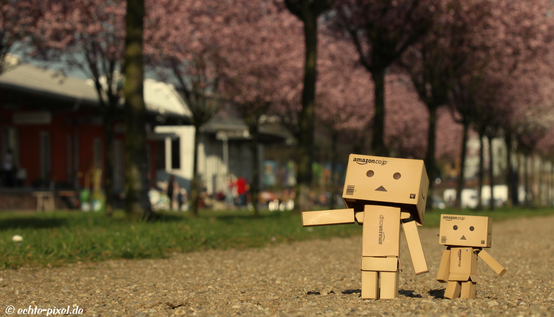 Danbo im Park