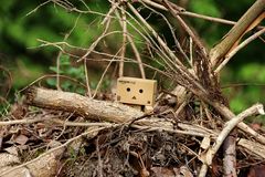 Danbo im Unterholz