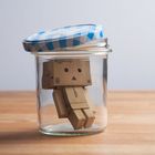 Danbo in a jar