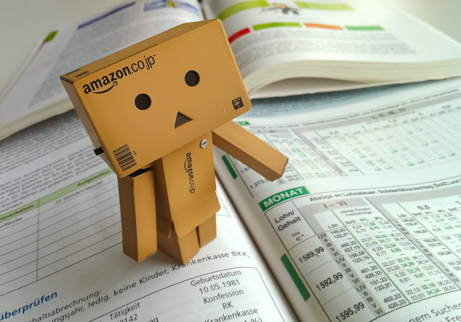 Danbo in der Schule