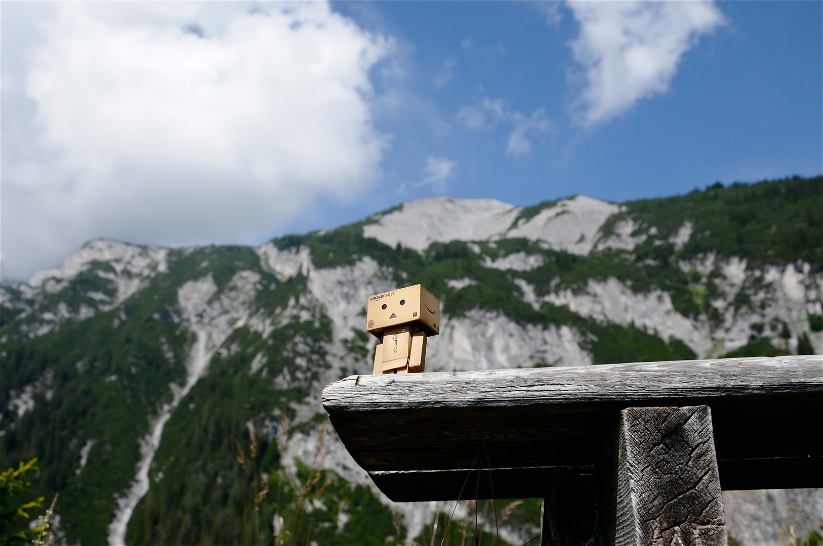 Danbo Jacques - geniesst die Aussicht...