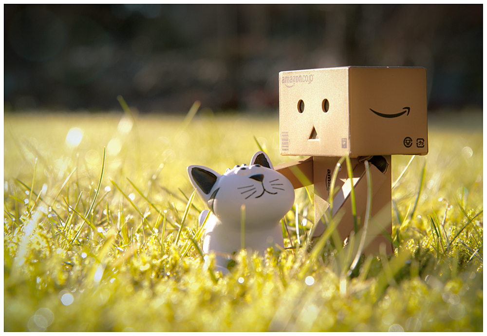 Danbo & KamiKatze