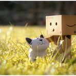 Danbo & KamiKatze