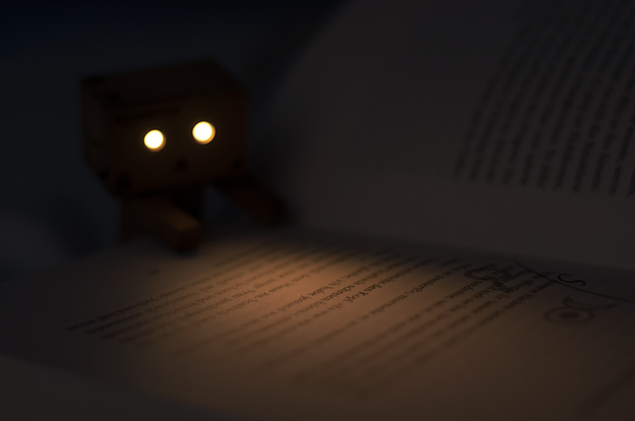 Danbo - Lesen im dunkeln 2