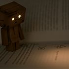 Danbo - Lesen im dunkeln