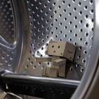 Danbo Luc im Karussell