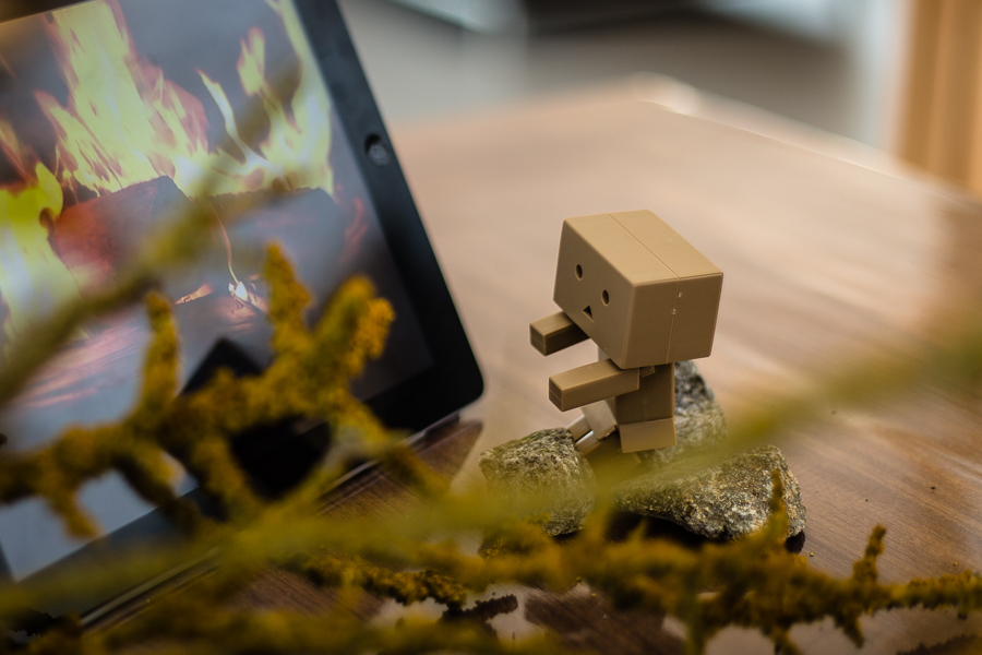 Danbo macht ein Lagerfeuer