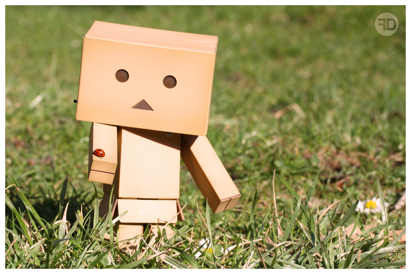 Danbo mit Marienkäfer