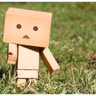 Danbo mit Marienkäfer