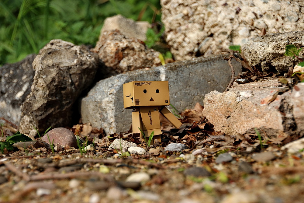 Danbo on the rocks