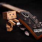 Danbo Schecter