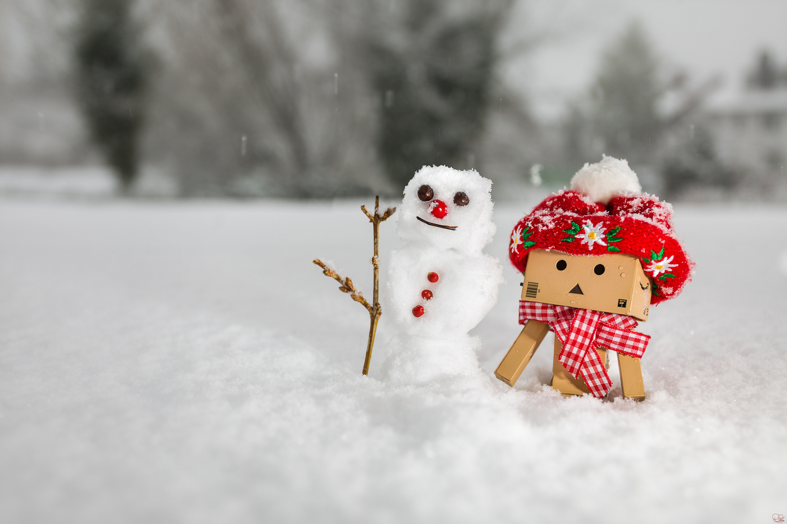 Danbo und der Schneemann