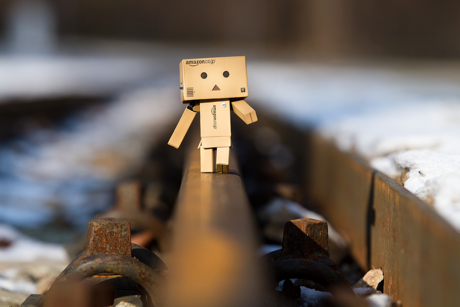 Danbo unterwegs