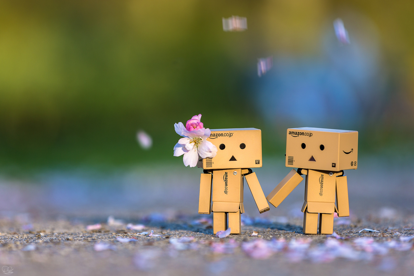 Danbo verliebt im Frühling