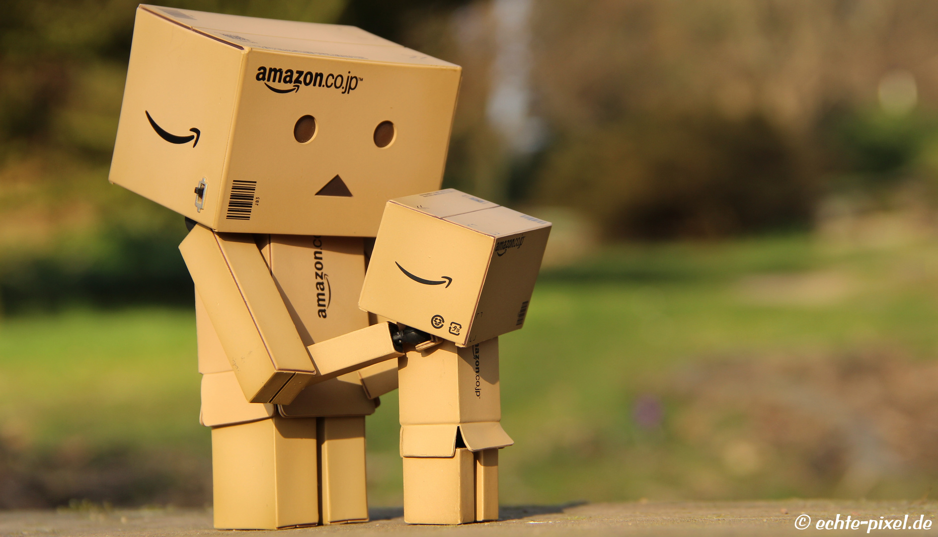 Danbo We Are Family