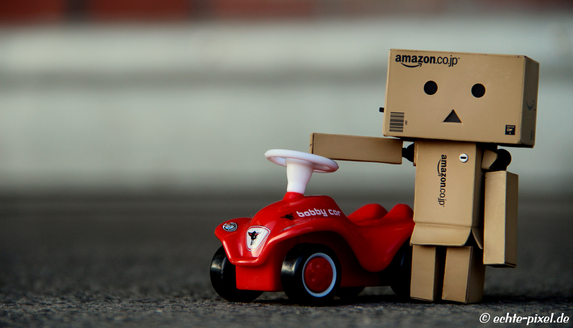 Danbo with bobbycar