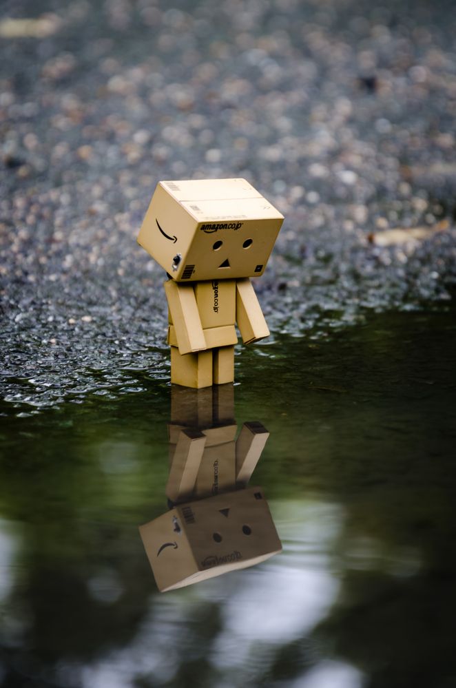 danboard