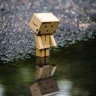 danboard