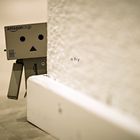 Danbo's Adventures_4