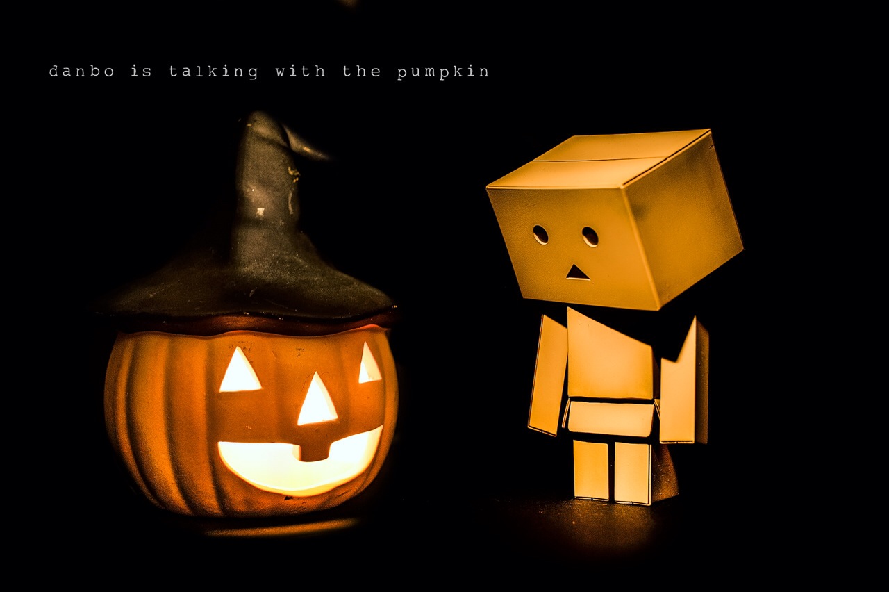 Danbo's Adventures_5