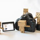 Danbo´s at Work