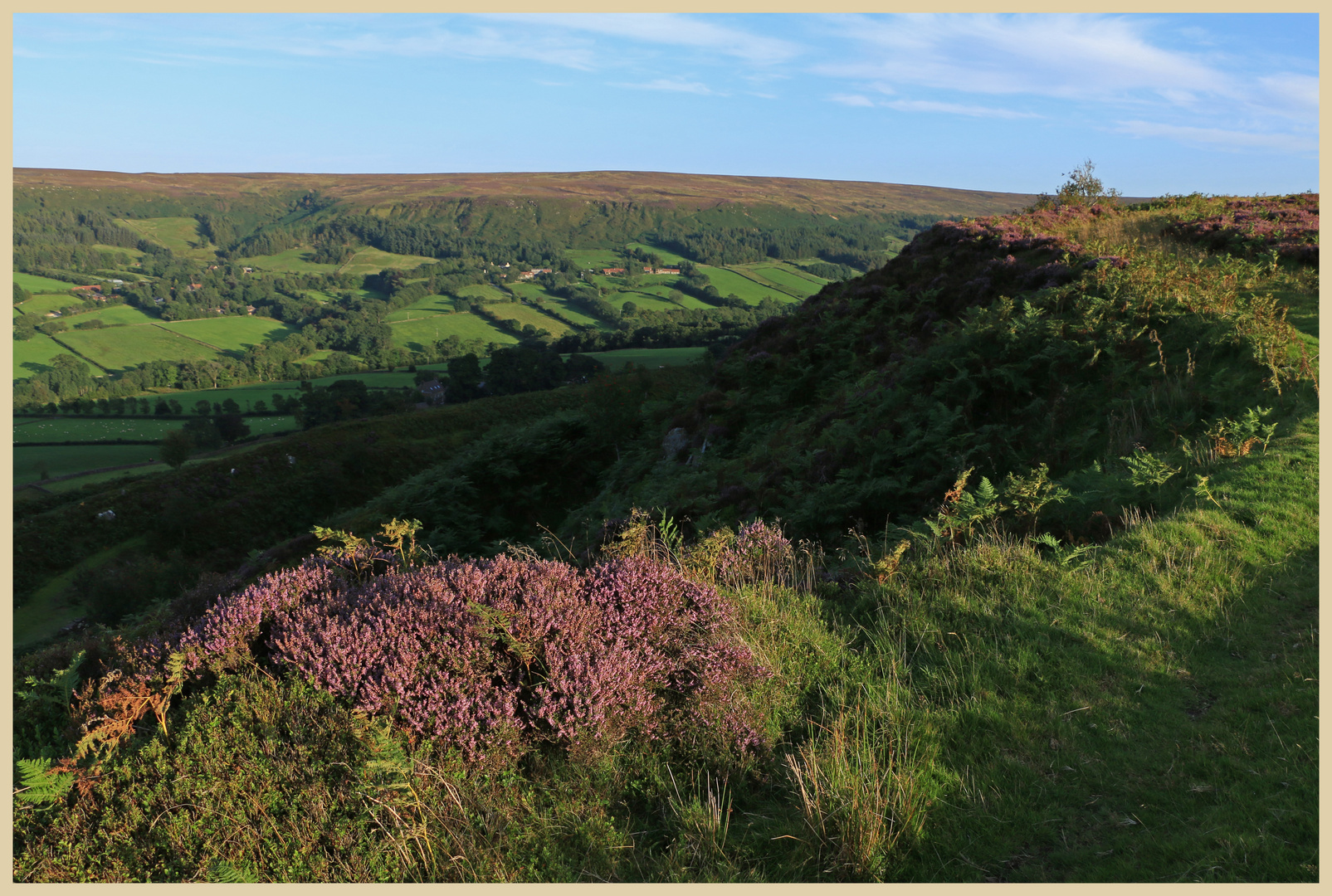 Danby Dale 12