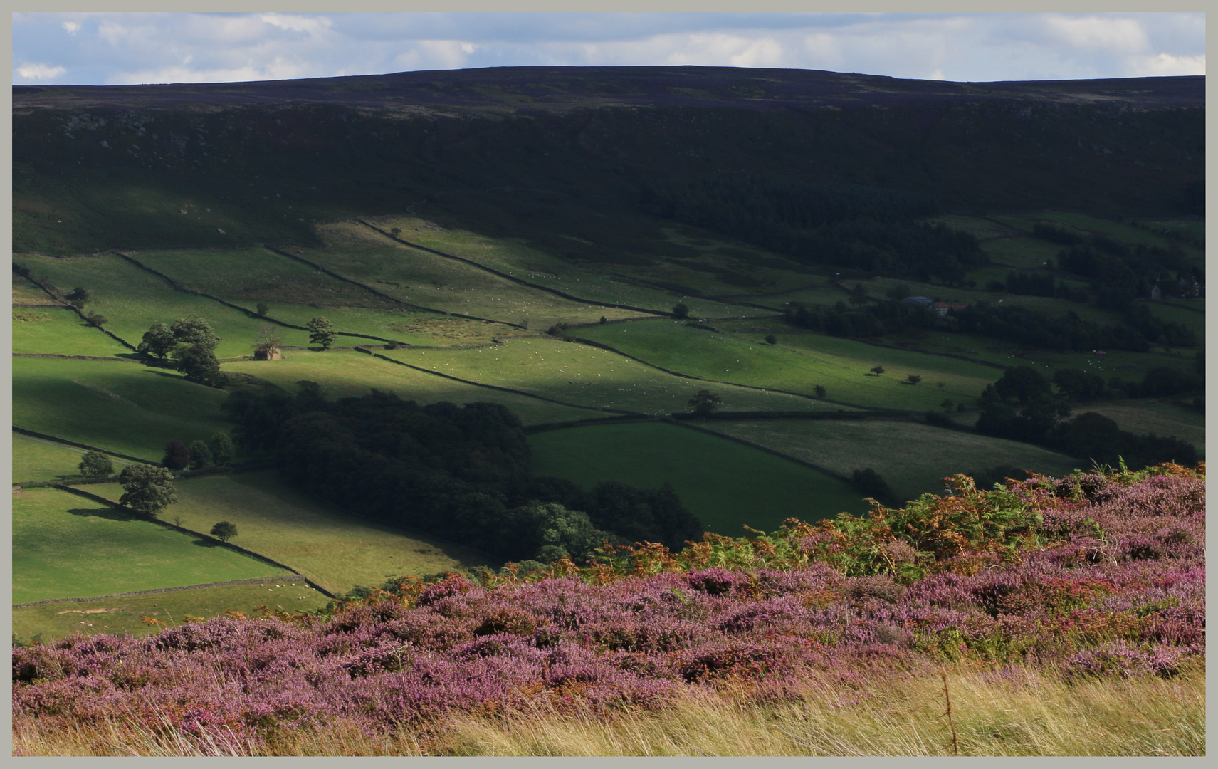 Danby dale from castleton rigg 2