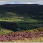 Danby dale from castleton rigg 2