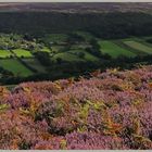 Danby dale from castleton rigg