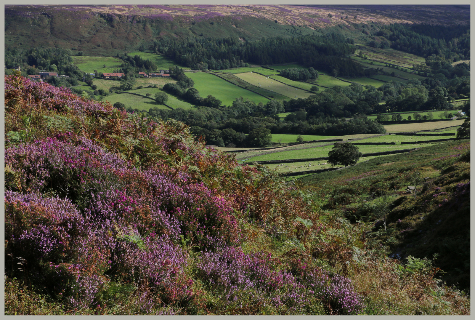 Danby Dale North Yorkshire