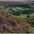 Danby Dale North Yorkshire