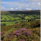 Danby Dale North Yorkshire