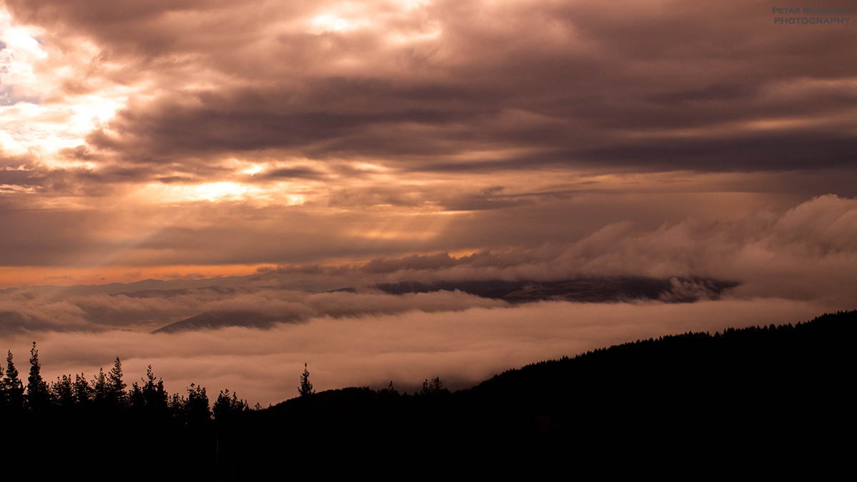 dance of fog