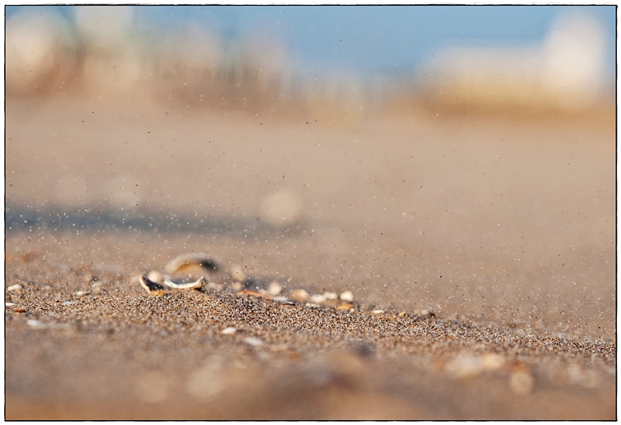 dance of grains