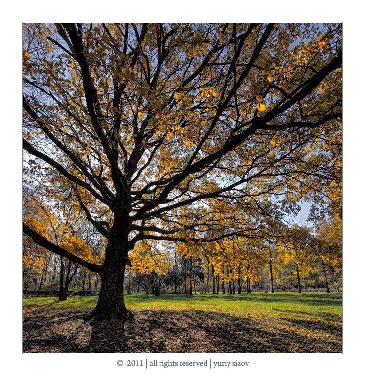 Dance of light and shadow