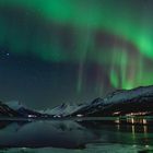 Dancing Aurora am Ullsfjord