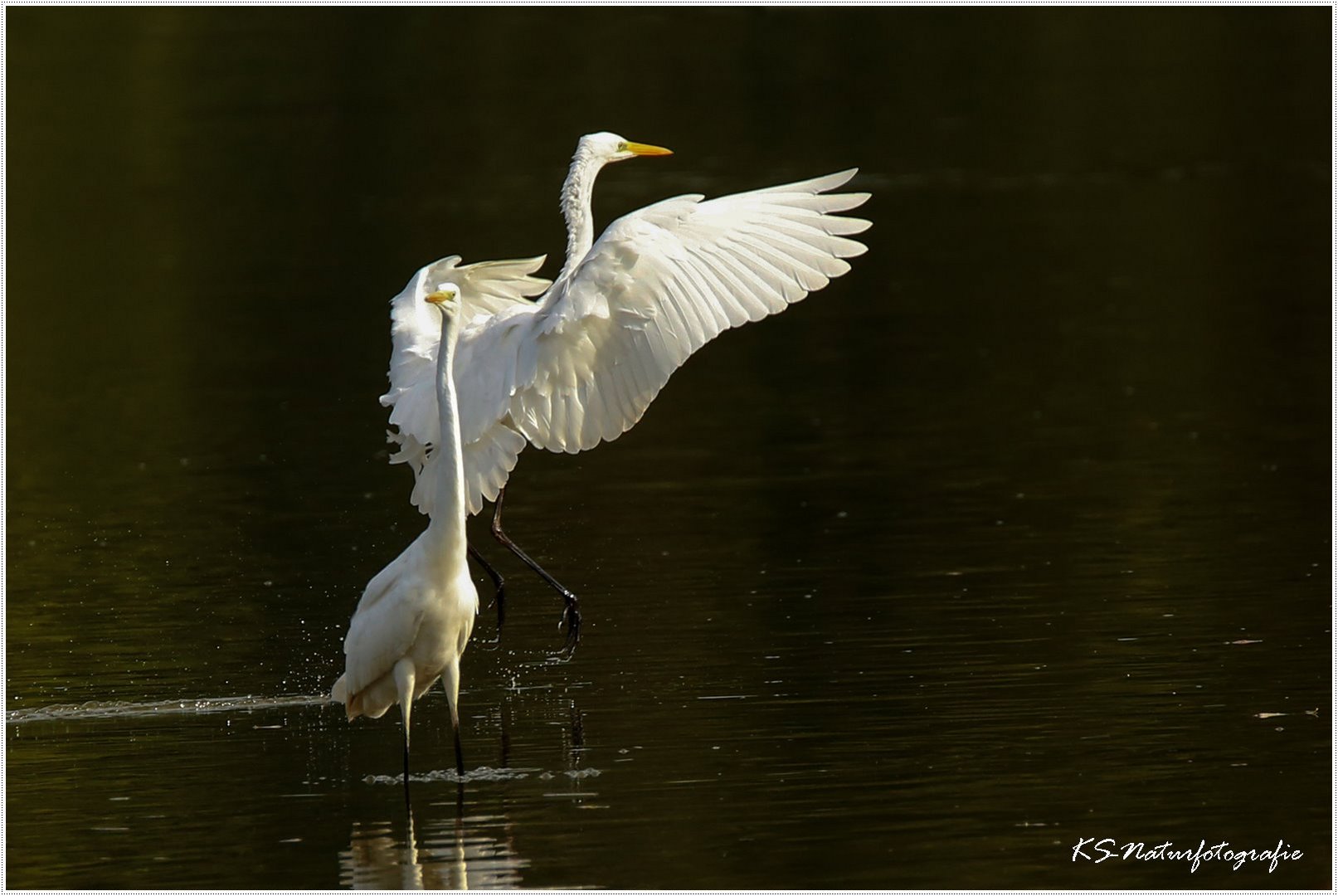 Dancing in the dark :-)