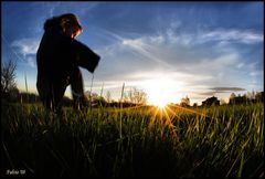 dancing in the light