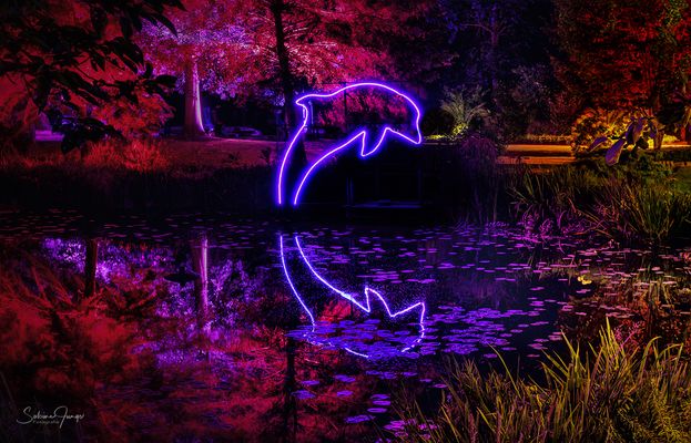 Dancing in the Moonlight