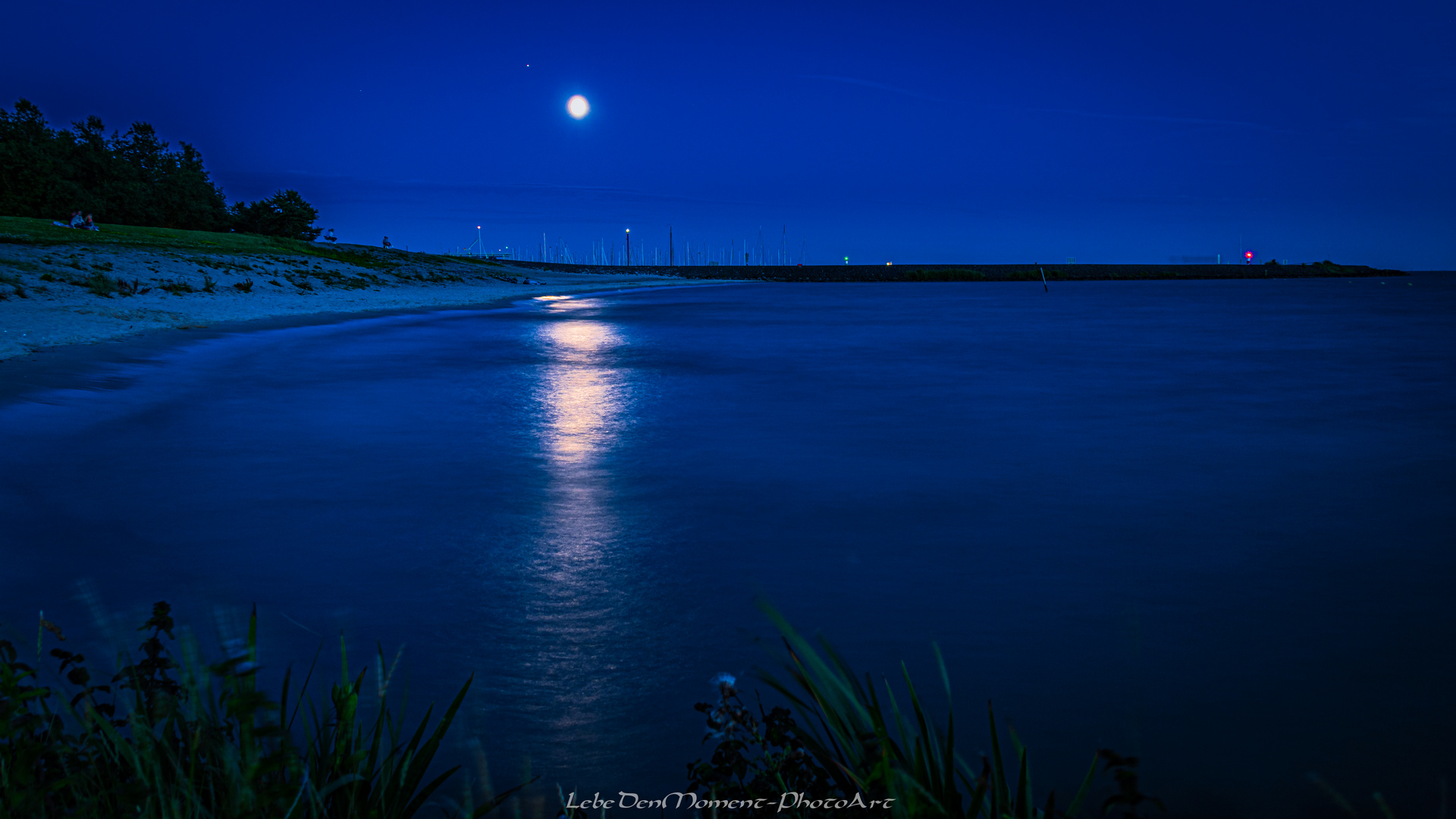 Dancing in the Moonlight