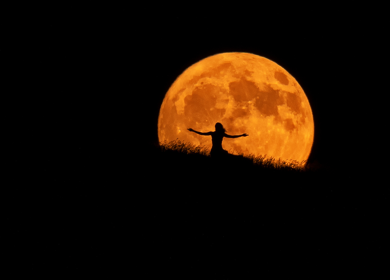 Dancing in the Moonlight