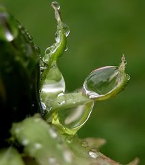 Dancing in the rain