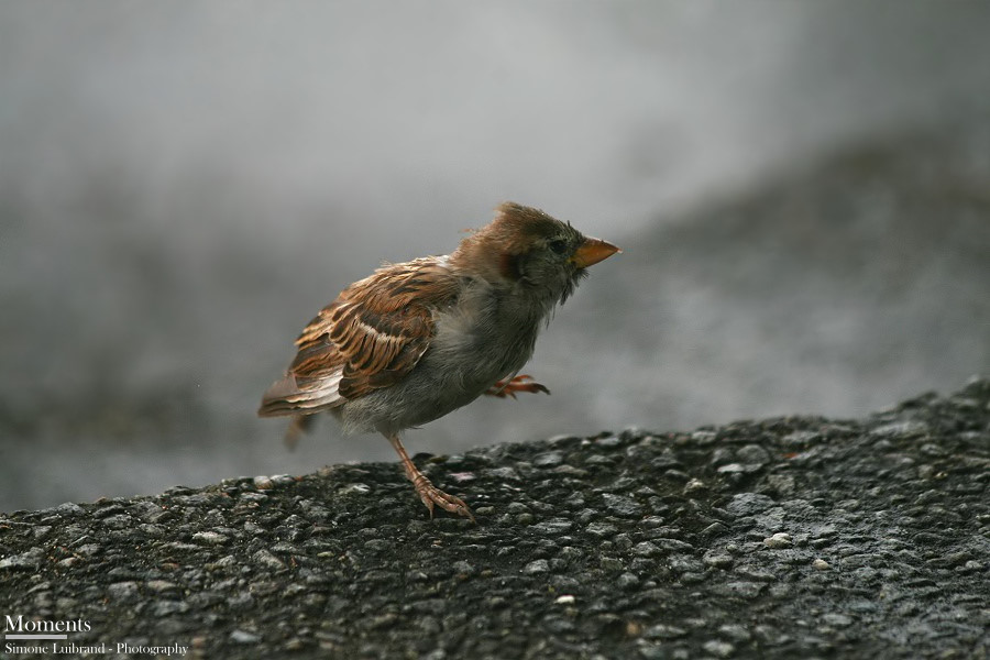 Dancing in the rain...