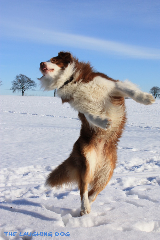 Dancing in the sun