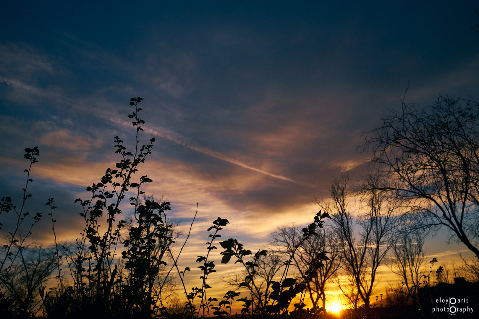 Dancing in the sunset